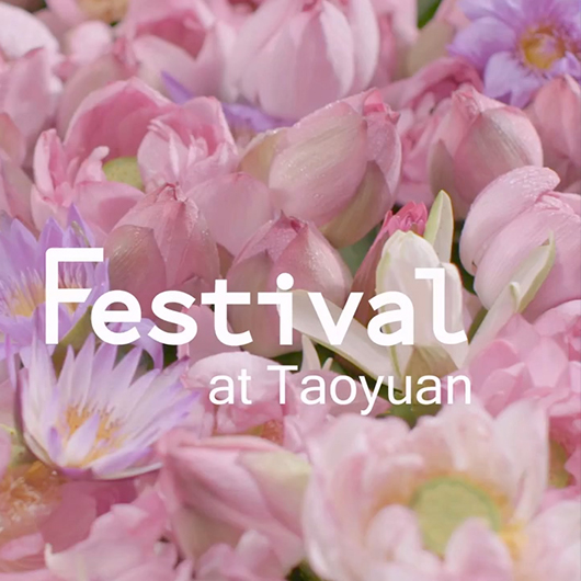 Taoyuan Lotus Festival 2017